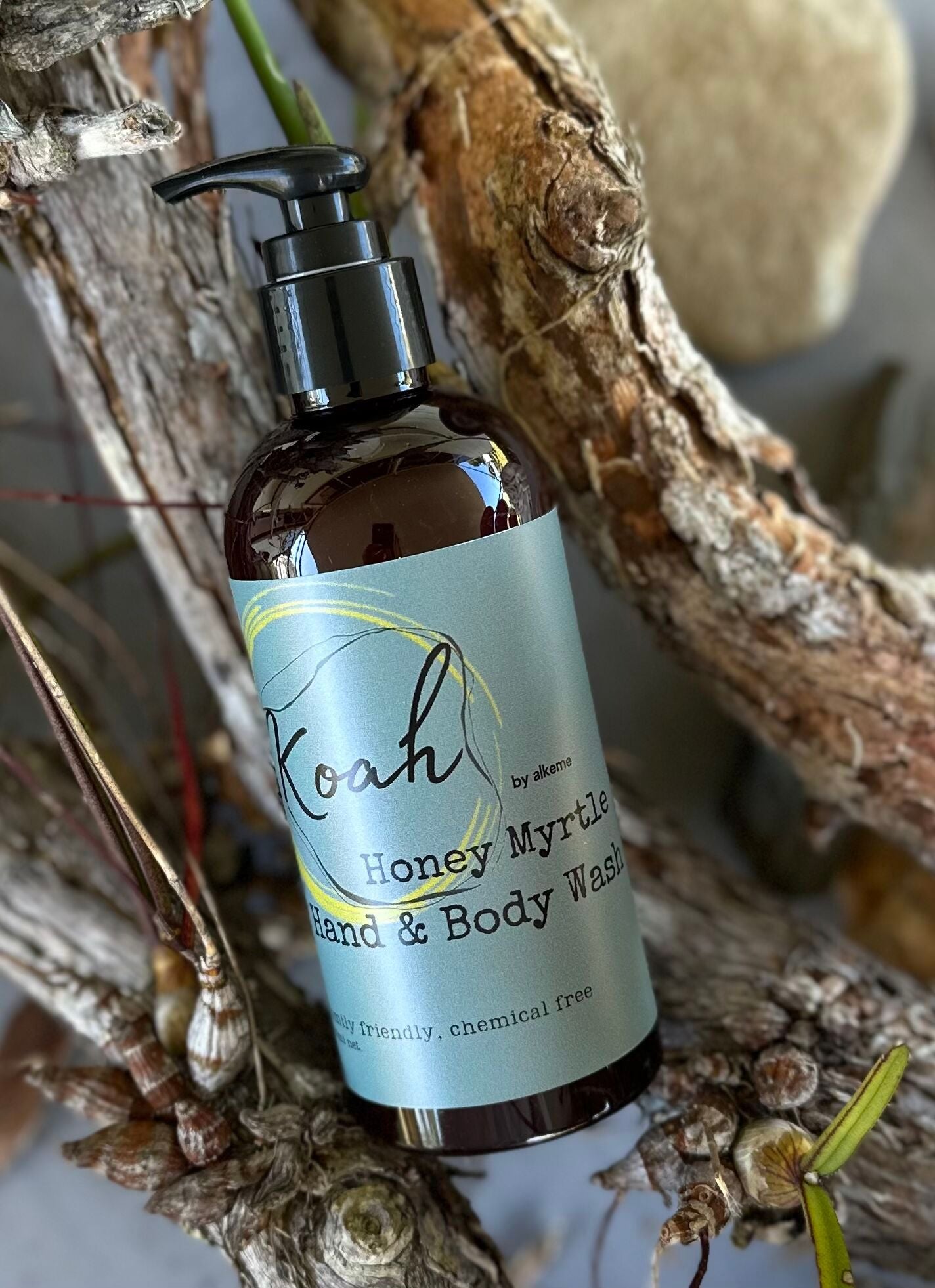 Honey Myrtle Hand and Body Wash