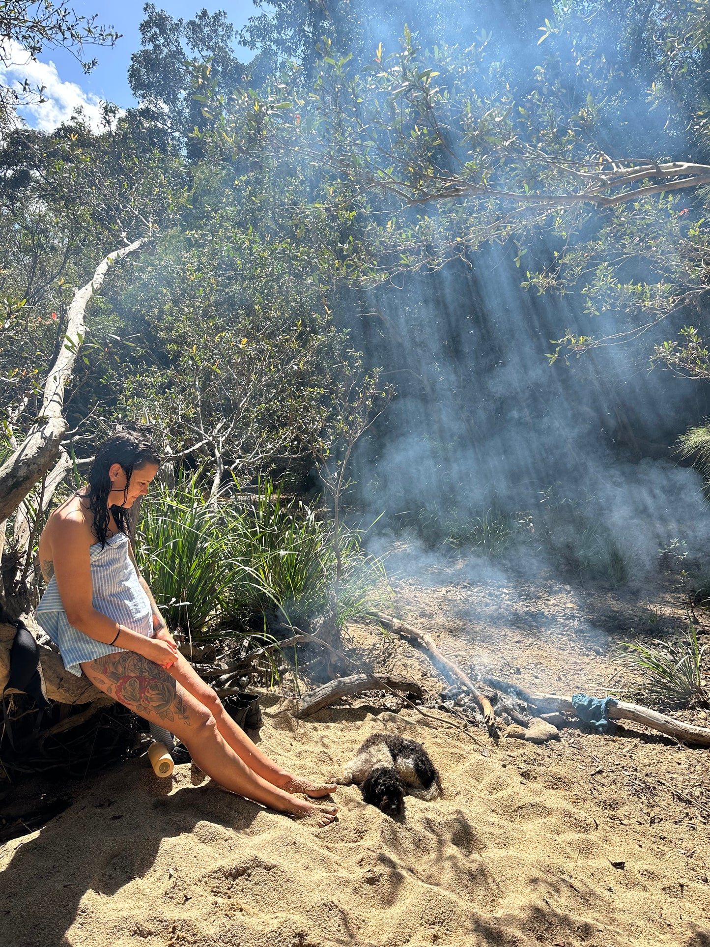 Australian Bush Food Beauty