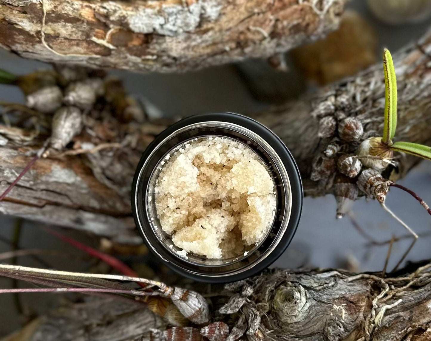Lemon Myrtle Detox Scrub