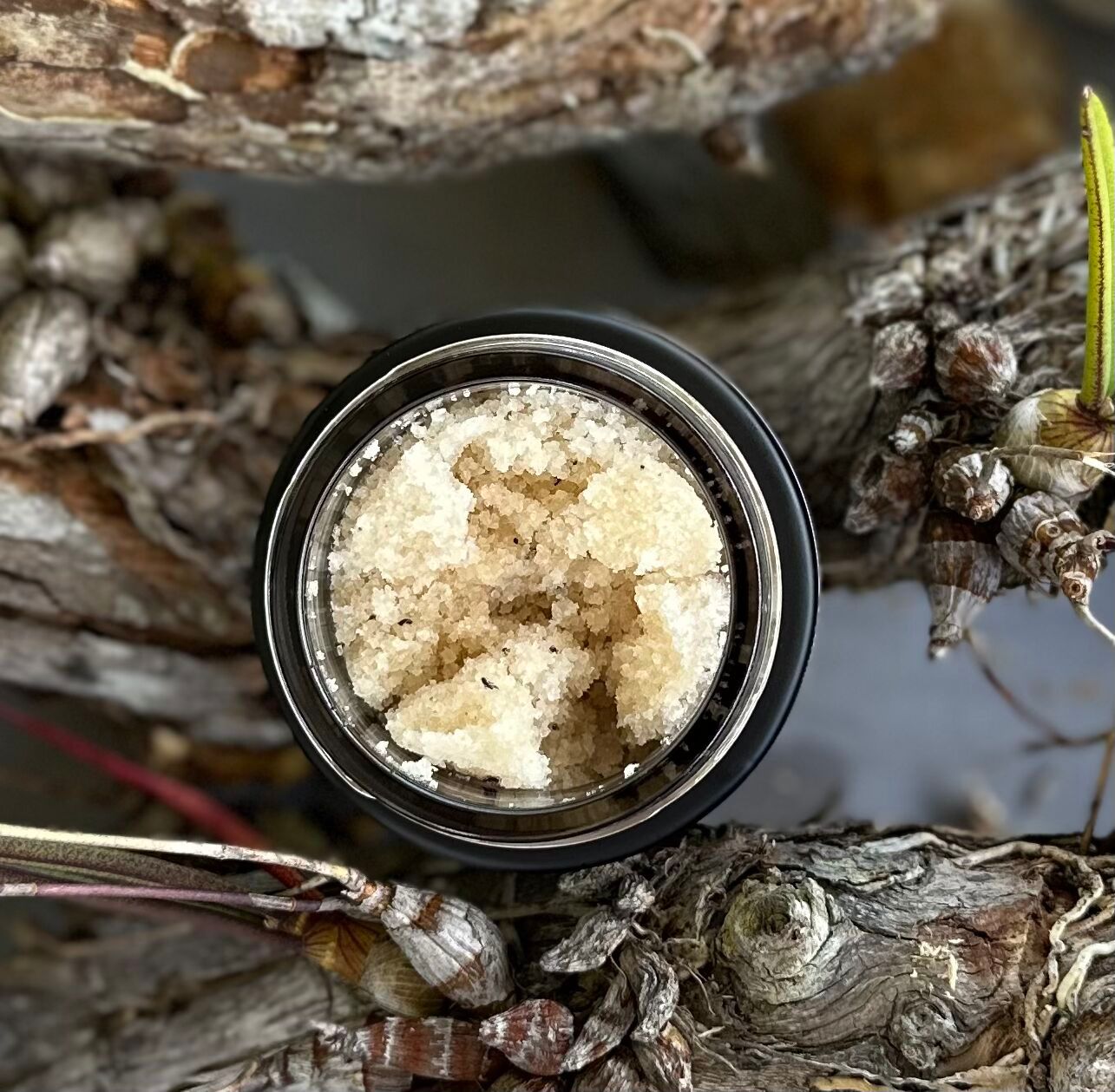 Lemon Myrtle Detox Scrub